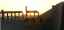 CLICK FOR FULLSIZE IMAGE Camels in the sunset at Palmyra 
