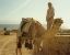 CLICK FOR FULLSIZE IMAGE Hamdan our guide with Sheylann his camel before we head into the wadis 