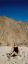 CLICK FOR FULLSIZE IMAGE Nanette takes sun at lunchtime 