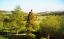 CLICK FOR FULLSIZE IMAGE Buxton 