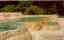 CLICK FOR FULLSIZE IMAGE Some light green pools up close 