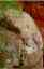 CLICK FOR FULLSIZE IMAGE Buddha's hand 