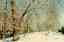 CLICK FOR FULLSIZE IMAGE The morning after the snowfall in Almaty 