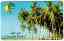 CLICK FOR FULLSIZE IMAGE Omani telephony!  Taqah, Dhofar region 