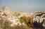 CLICK FOR FULLSIZE IMAGE Pigeon Valley, Cappadocia 