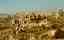 CLICK FOR FULLSIZE IMAGE Gˆreme, Cappadocia 